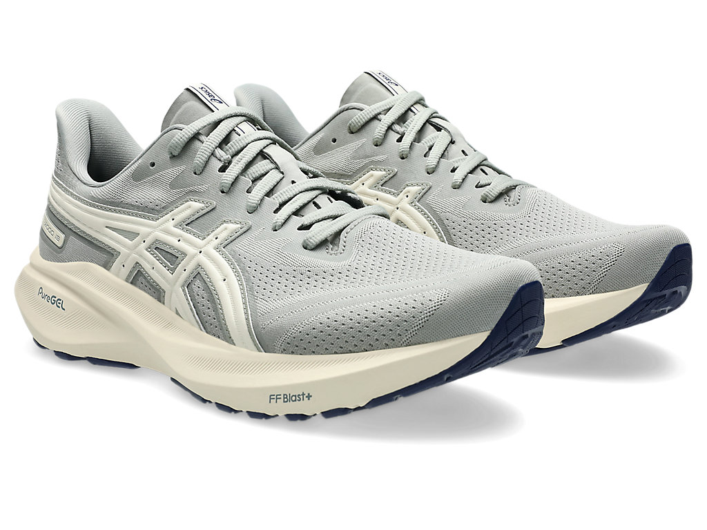 Men's Asics GT-2000 13 ATC :Seal Grey | Birch – iRUN Singapore