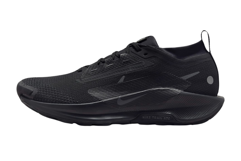 Pegasus Trail 5 GTX Men's :Black | Anthracite